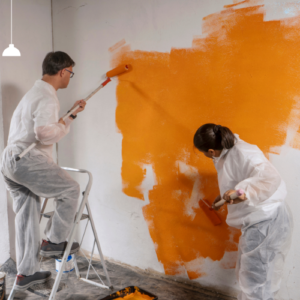 Affordable Painting services | Rahi Enterprises